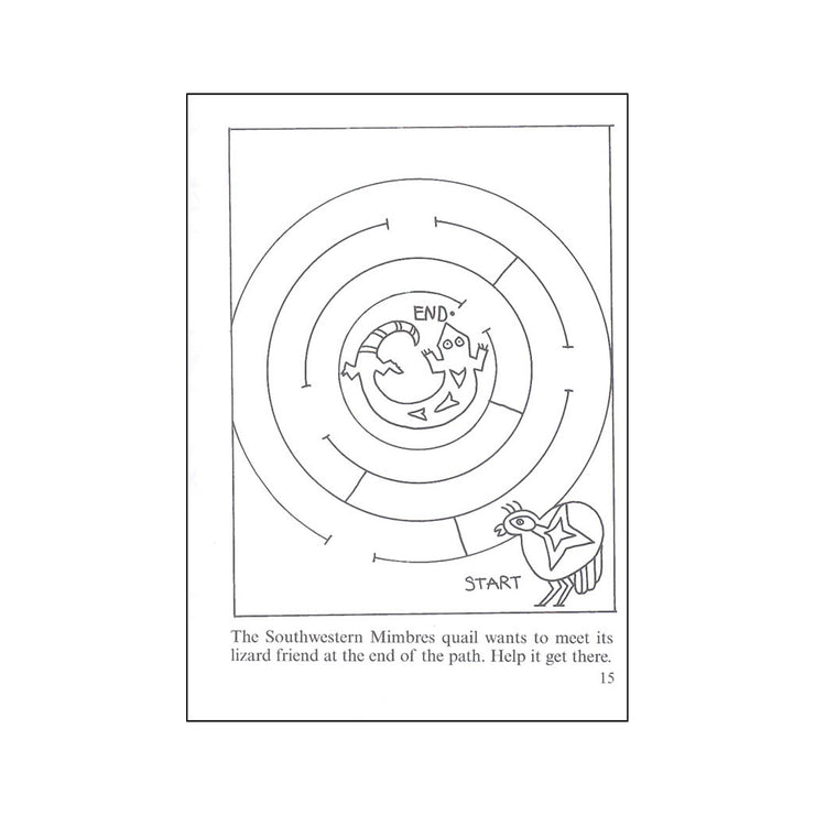 Native American Mazes Activity Book - BThunder 